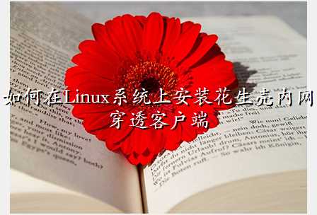 如何在Linux系统上安装花生壳内网穿透客户端